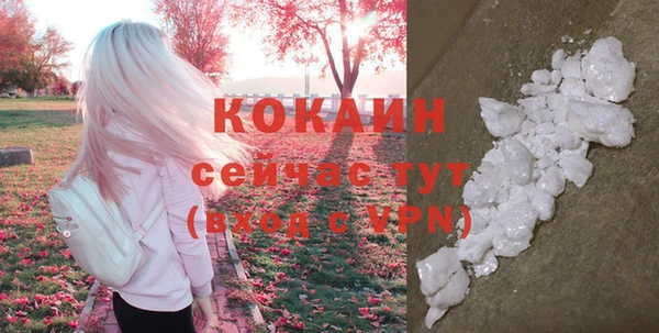 мяу мяу мука Гусев