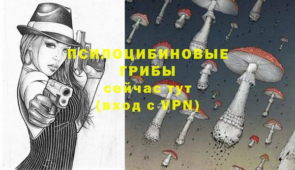 мяу мяу мука Гусев