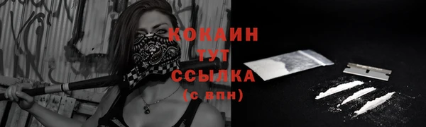 мяу мяу мука Гусев