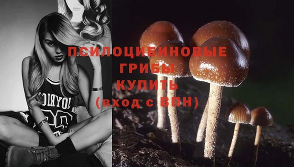 мяу мяу мука Гусев