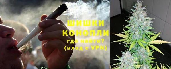 индика Кострома